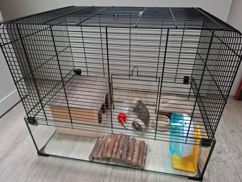 Hamsterkooi Interzoo Vision 58, Dieren en Toebehoren, Knaagdieren en Konijnen | Hokken en Kooien, Kooi, Minder dan 60 cm, Minder dan 75 cm