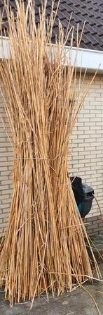 Bamboe 3 m hoog, Tuin en Terras, Tuinschermen, Ophalen of Verzenden, Zo goed als nieuw