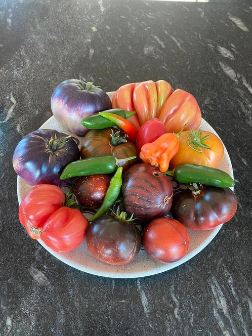 2. Grote sortering zaden van bijzondere tomaten., Tuin en Terras, Bloembollen en Zaden, Zaad, Voorjaar, Volle zon, Ophalen of Verzenden