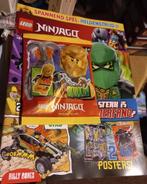 Lego Ninjago dragons rising Arin , nieuw ongebruikt compleet, Ophalen of Verzenden, Nieuw