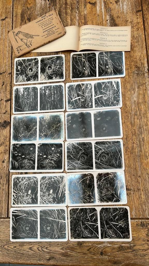 Diverse stereoscoop kaarten foto’s, Verzamelen, Foto's en Prenten, Gebruikt, Foto, Voor 1940, Ophalen of Verzenden