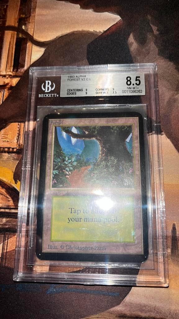 Forest Alpha BGS 8.5 #2, Hobby en Vrije tijd, Verzamelkaartspellen | Magic the Gathering, Zo goed als nieuw, Ophalen of Verzenden