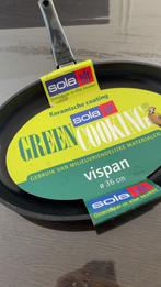 Vispan ovale koekenpan, Ophalen of Verzenden, Zo goed als nieuw, Gietijzer, Koekenpan of Braadpan