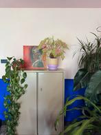 Taupe metalen locker kast / kantoorkast met legplanken, Huis en Inrichting, Ophalen, Gebruikt, Industieel