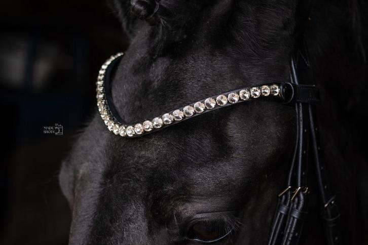 L'Anique Click&Go Frontriem Cloud, Dieren en Toebehoren, Paarden en Pony's | Hoofdstellen en Tuigage, Nieuw, Dressuur, Ophalen of Verzenden