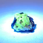 Hyaliet opaal cluster - UV reactief - Namibië, Ophalen of Verzenden, Mineraal