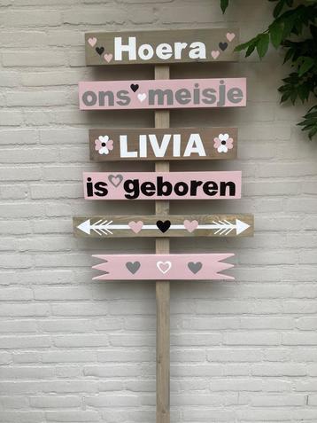 geboorte bord meisje beschikbaar voor biedingen