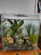 "Biorb" visglas incl toebehoren, filter en verlichting, Ophalen of Verzenden, Zo goed als nieuw, Leeg aquarium