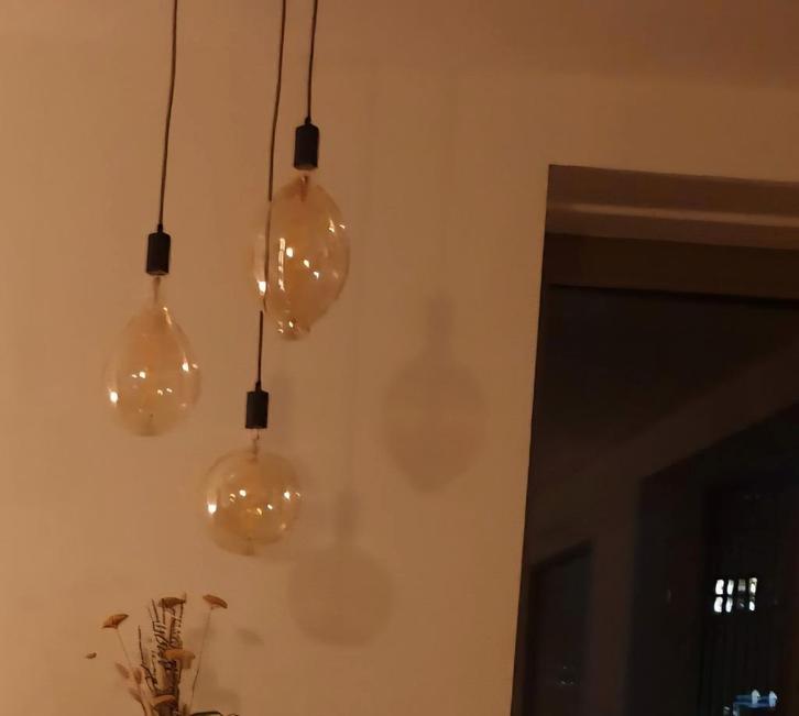 Hanglamp, Huis en Inrichting, Lampen | Hanglampen, Zo goed als nieuw, Minder dan 50 cm, Ophalen