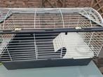 Cavia kooi met toebehoren, Kooi, Zo goed als nieuw, 75 tot 110 cm, Cavia