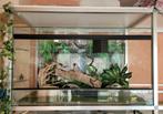 Kompleet Terrarium 90 x 50 x 50, Ophalen, Terrarium of Paludarium