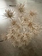 Tak berenklauw, Ophalen, Zo goed als nieuw