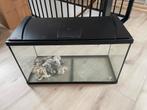 Aquarium + toebehoren. Volledige set, ideaal voor starters, Ophalen, Zo goed als nieuw, Leeg aquarium