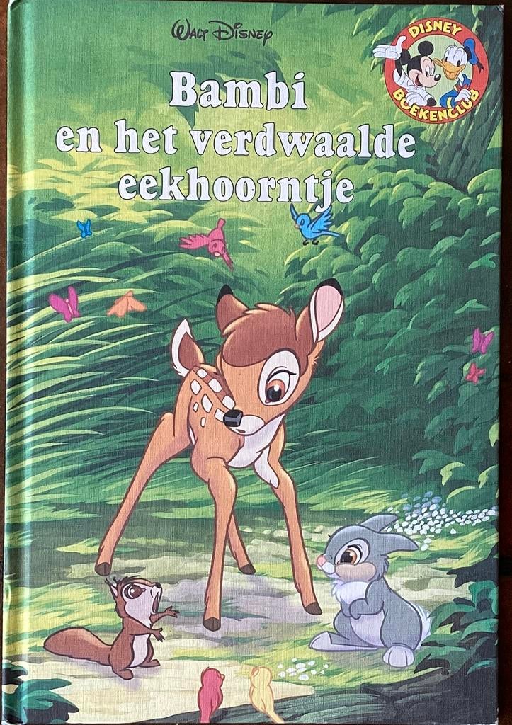 Walt Disney boekjes – 3 euro per stuk, Boeken, Ophalen of Verzenden, Zo goed als nieuw, Sprookjes