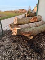 4x walnoten stammen voor 1400 euro, Ophalen