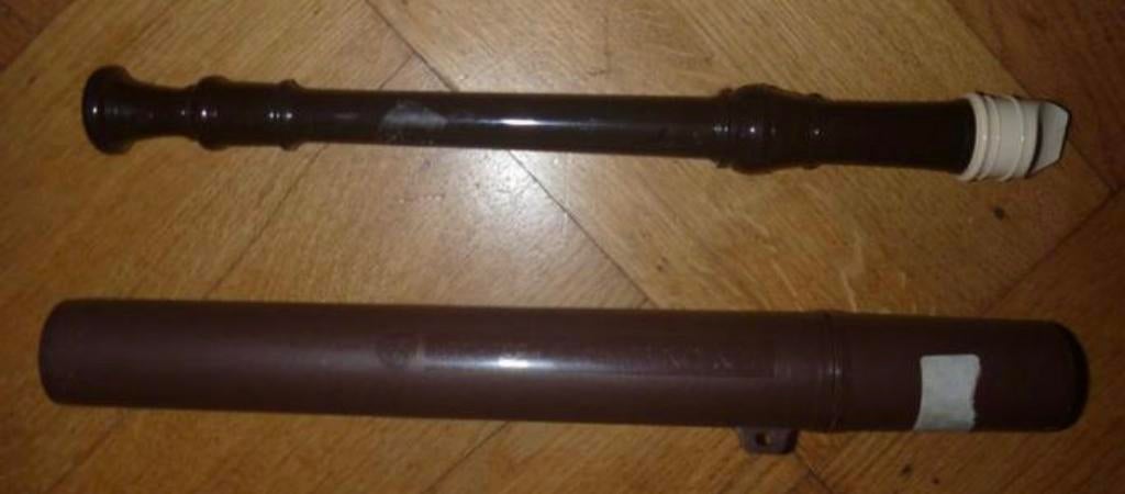 Blokfluit 8 gats sopraan Soprano plastic voor lessen 10, Muziek en Instrumenten, Blaasinstrumenten | Blokfluiten, Ophalen of Verzenden