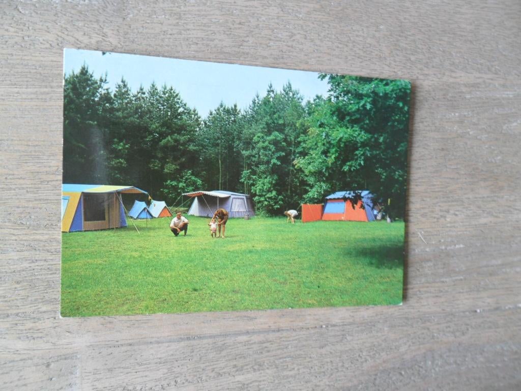 Bosschenhoofd, camping de Wildert/tent 1985, Verzenden, 1980 tot heden, Gelopen, Noord-Brabant