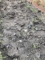 Gratis goede vette tuingrond., Ophalen, Tuinaarde