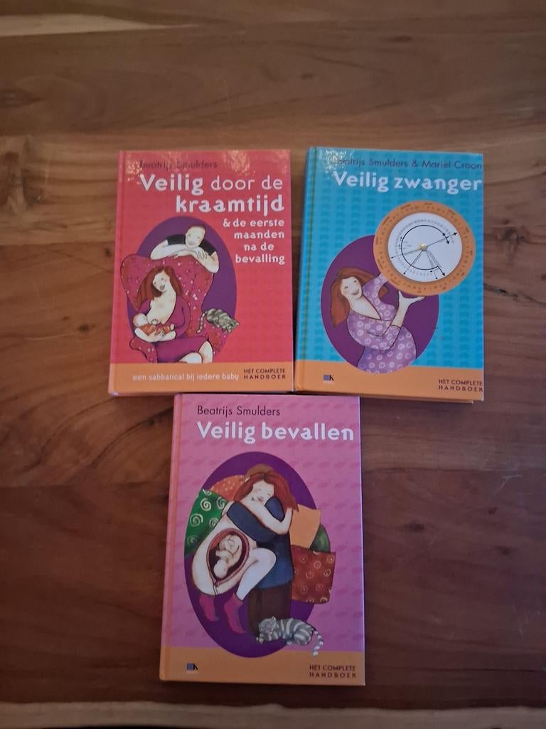 3 boeken beatrijs smulders, Ophalen of Verzenden, Gelezen, Overige typen