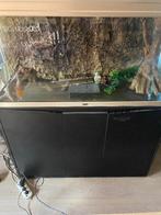 Aquatlantis aquarium 240, Dieren en Toebehoren, Vissen | Aquaria en Toebehoren, Ophalen, Gebruikt, Leeg aquarium