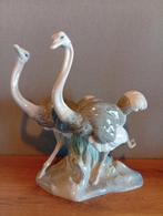 Lladro struisvogels, Ophalen, Mens