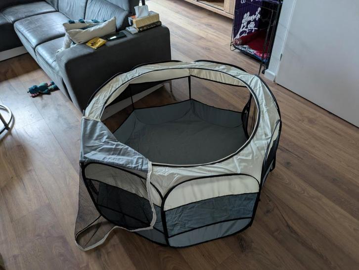 Hondenren dierenren, Dieren en Toebehoren, Overige Dieren, Meerdere dieren, Januari