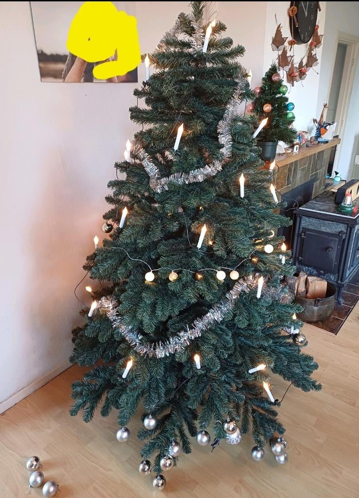 Kerstboom Grossglockner 2 meter hoog, Diversen, Ophalen