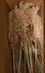 Doos met nieuwe pluimen 500 pluimen 100 cm lang, Ophalen, Nieuw