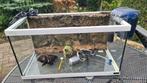 aquarium 60 liter Aquatlantis, Ophalen, Gebruikt, Leeg aquarium