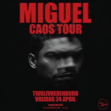 VIP ticket Miguel Caos Tour, Eén persoon, April