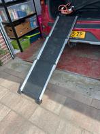 Loopplank voor de hond, Ophalen