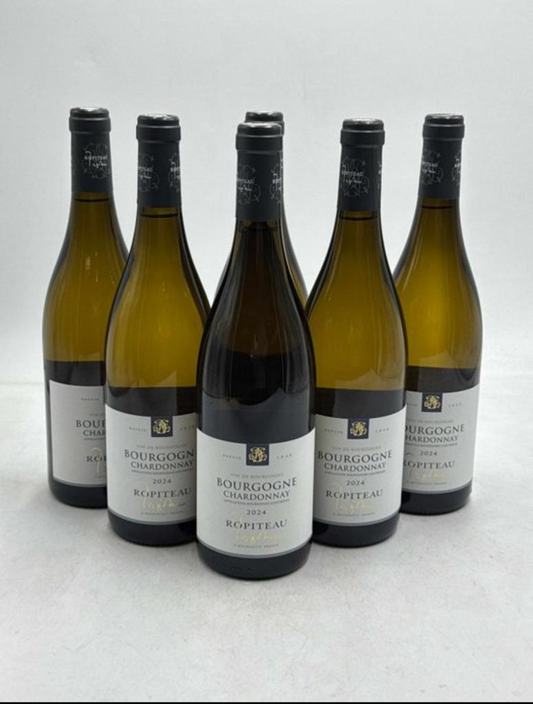 Bourgogne Chardonnay 2024 - Ropiteau Witte Wijn, Ophalen of Verzenden, Nieuw, Frankrijk, Witte wijn