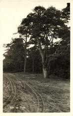 Ede. de Traa - 1956 gelopen, Ophalen of Verzenden, Voor 1920, Gelopen, Gelderland