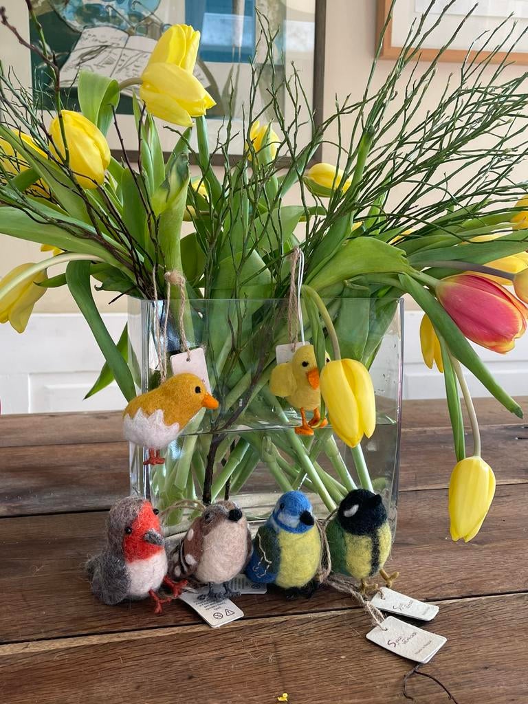 6 vogels van Sjaal met Verhaal, Ophalen of Verzenden, Nieuw