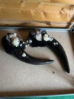 Decoratieve hoorns Ibiza style, Huis en Inrichting, Woonaccessoires | Wanddecoraties, Ophalen of Verzenden, Gebruikt