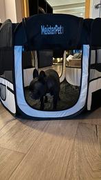 MEISTERPETS Opvouwbare puppyren - puppytent - 115 x 115 cm, Ophalen, Zo goed als nieuw