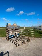 kractvoerbox 2 stuks SAC, Weidegang