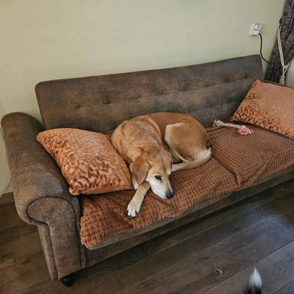 Hondenbank  ( excl. hond), Dieren en Toebehoren, Hondenmanden, Gebruikt, Stof, Ophalen