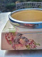 Parrot en co. VOGELS.DALEN,DRENTHE, Ophalen of Verzenden