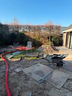 Gratis planten: Leibomen, appelboom, narcissen, hortensia, h, Volle zon, Vaste plant, Ophalen of Verzenden, Fruitplanten