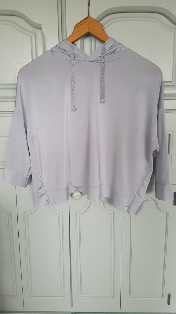 Hoody maat 36 Zijdezacht Licht grijs Zara Collection, Ophalen of Verzenden, Nieuw, Maat 36 (S), Grijs