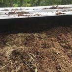 oude paarde mest, Ophalen, Mest