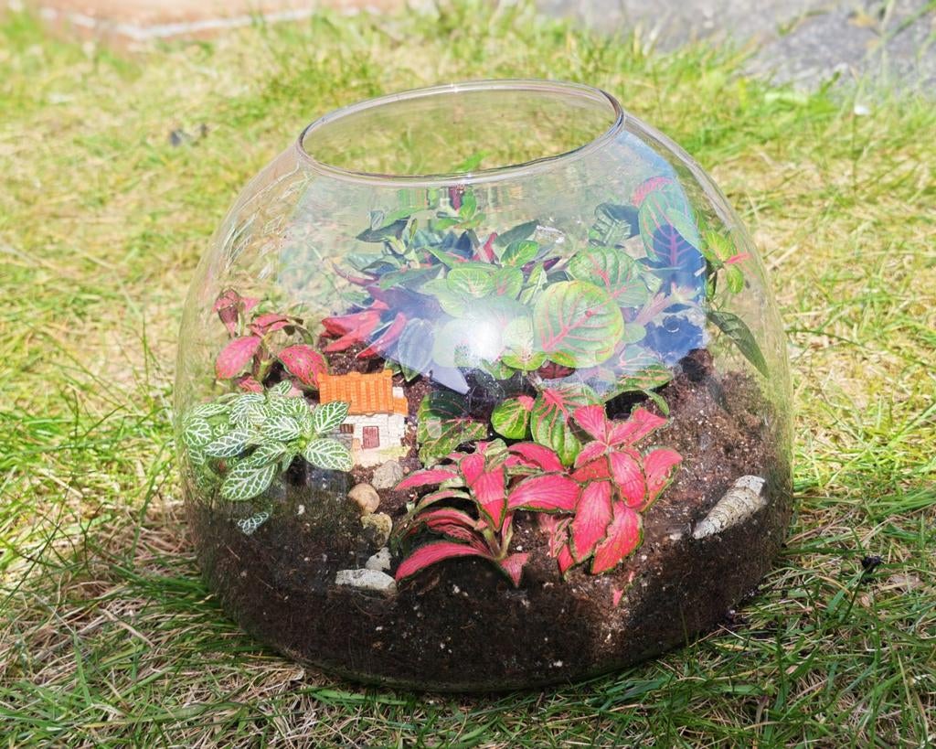 Vegan Terrarium met mini-huisje en diverse planten, Meerkleurig, Overige stijlen, Nieuw, Ophalen of Verzenden