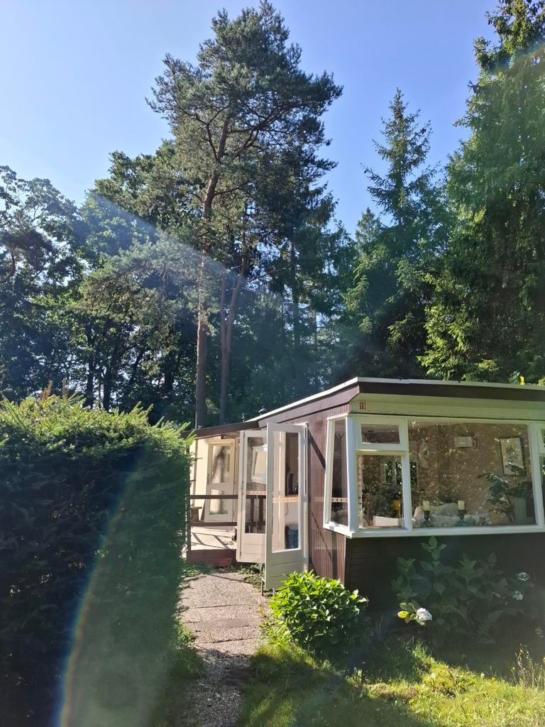 Chalet op boscamping Veluwe, In bos, Tuin, Recreatiepark, Gelderland en Veluwe