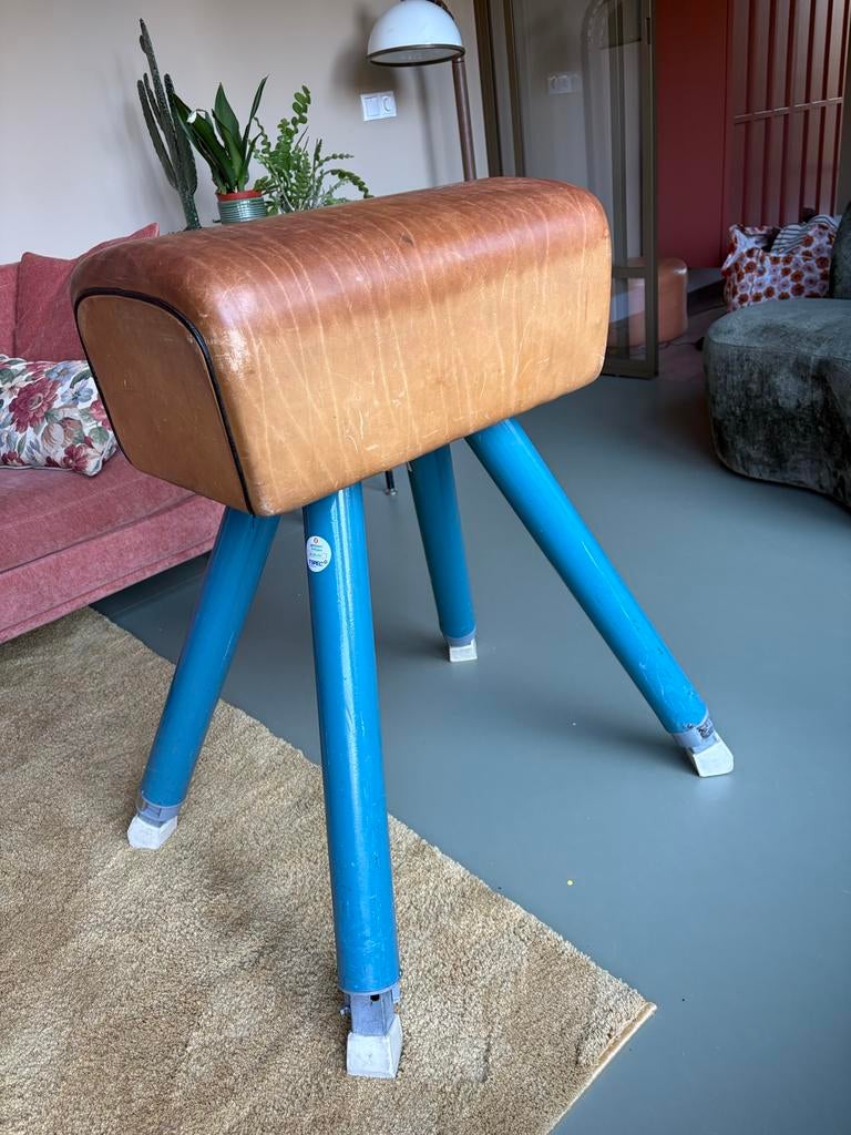 Vintage bok gymzaal - Uniek decoratief item, Ophalen, Gebruikt