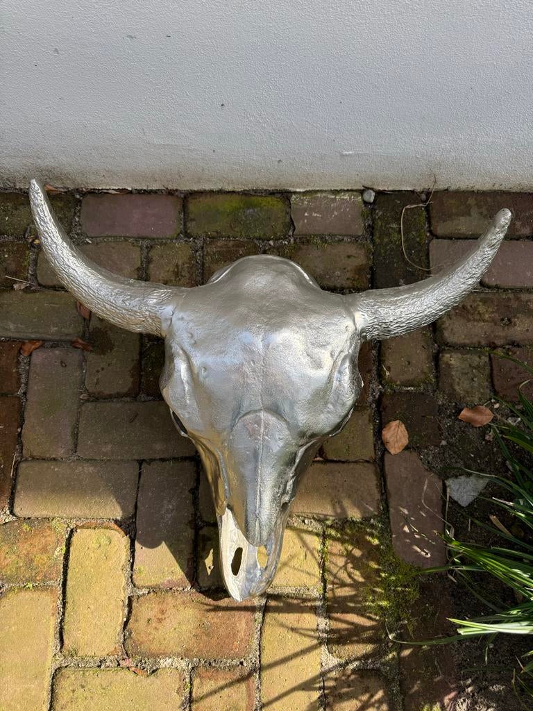 Zilverkleurige stierenkop, Zoogdier, 20 - 50 cm, Beeld, Metaal