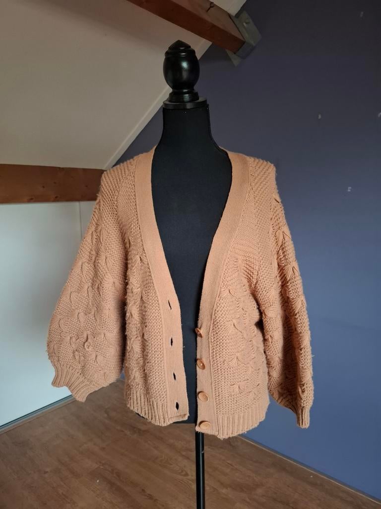 Lela vest L / XL, Ophalen of Verzenden, Gedragen, Maat 46/48 (XL) of groter, Bruin