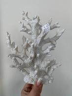 H&S Decoratief Koraal Stuk - Nep Koraal Decoratie, Ophalen of Verzenden, Nieuw