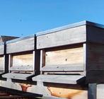 Bijenvolken gezocht, Dieren en Toebehoren, Bijen