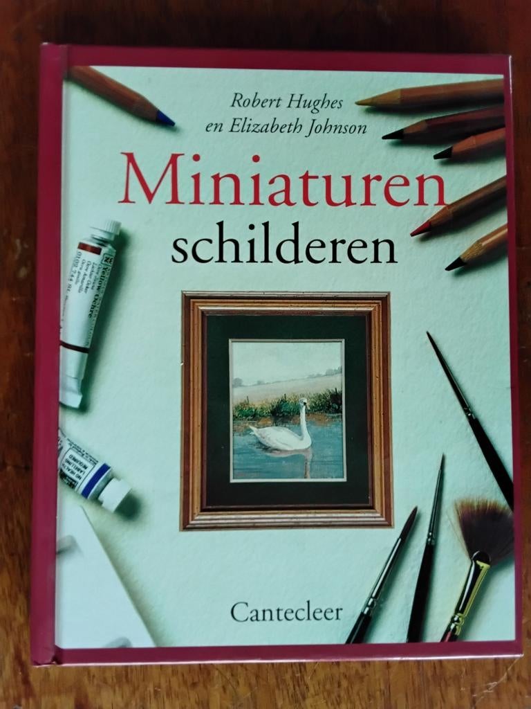 R. HUGHES EN E. JOHNSON   MINIATUREN SCHILDEREN, Ophalen of Verzenden, Zo goed als nieuw, Boek of Gids